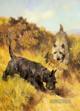 Zwei Scotties in einer Landschaft Arthur Wardle dog